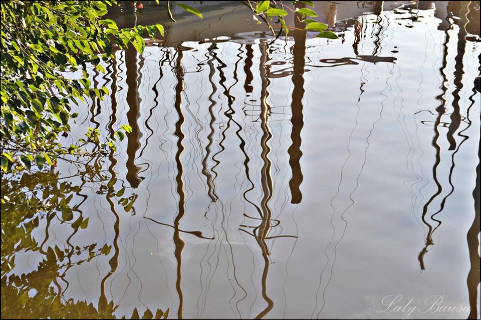 "Reflejos de mi vida!" de Maria Laura Bausa