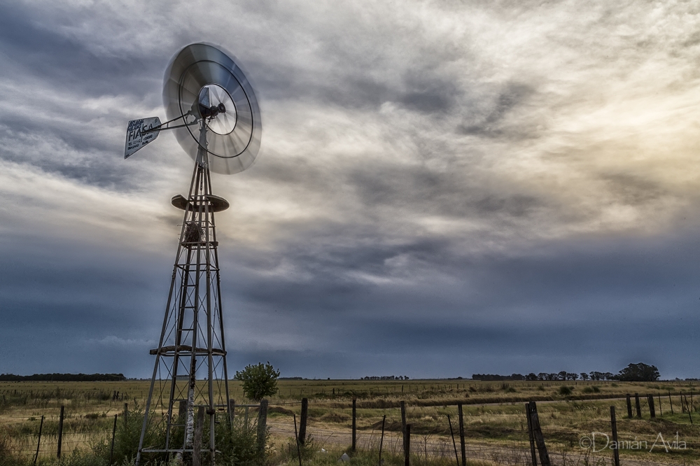 "Viento Norte." de Damin Avila