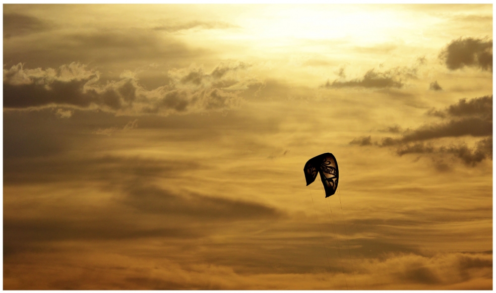 "volando al atardecer" de Adriana Elizalde