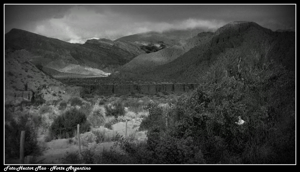 "Norte Argentino" de Hector Mao