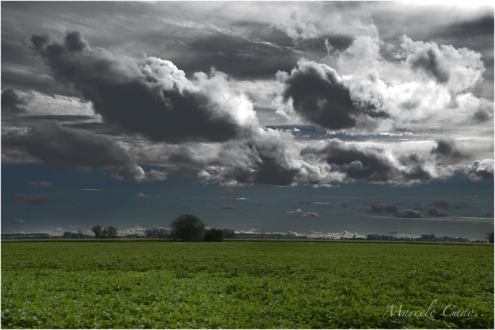 "campo con soja, cielo.. prometedor..." de Marcelo Nestor Cano