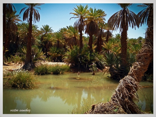 "oasis" de Victor Alejandro Sanchez Bermudez