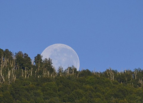 "Puesta de Luna Llena" de Gloria Fanny Jimenez