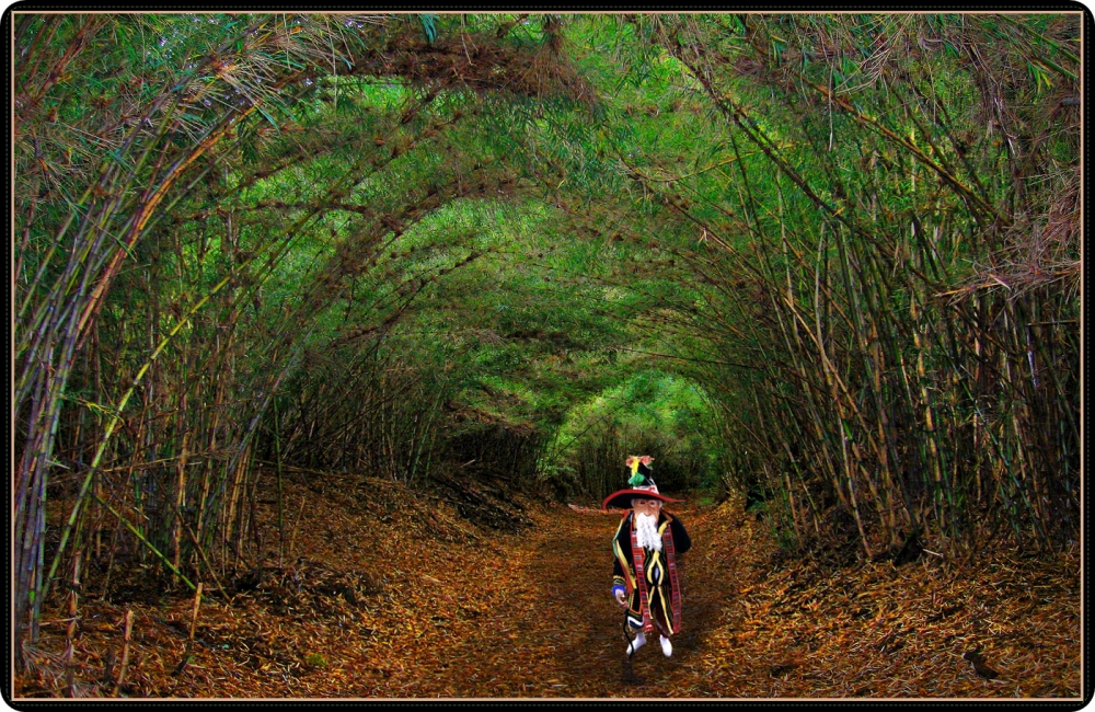 "bosque encantado" de Ana Maria Jankech