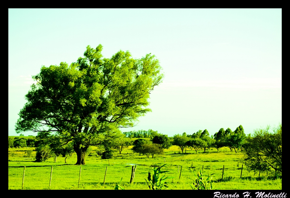 "Primavera campesina" de Ricardo H. Molinelli