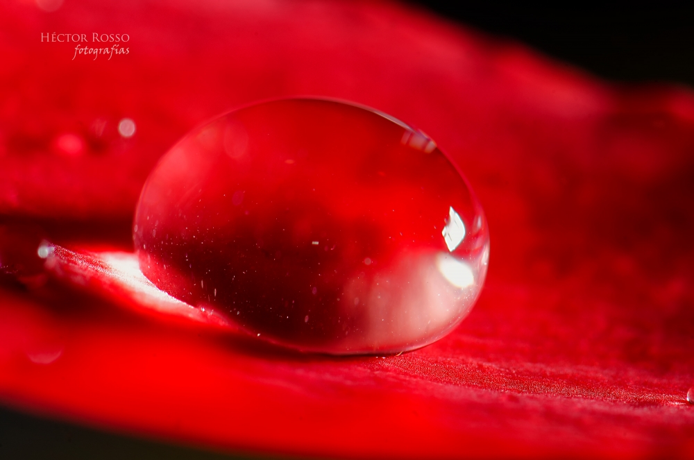 "Gota de agua" de Hctor A. Rosso