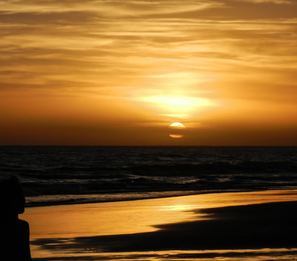 "Testigo de un atardecer" de Lorna Aguirre