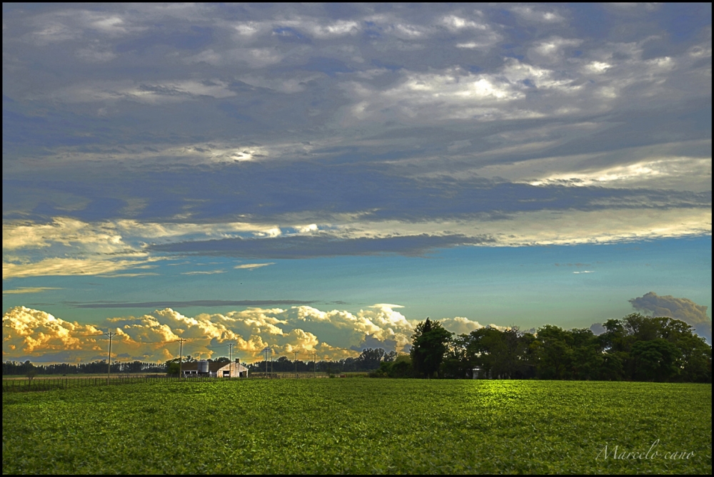 "Paisaje de campo" de Marcelo Nestor Cano