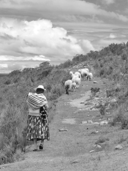 "cuesta arriba" de Luis Szeferblum