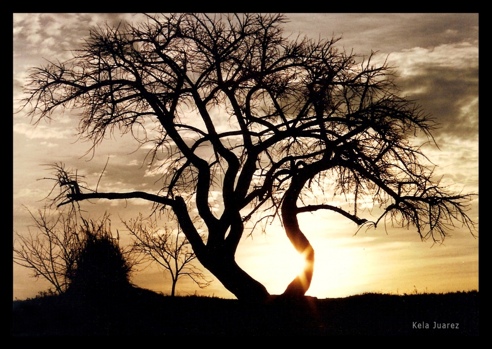 "Acariciando el sol" de Kela Juarez