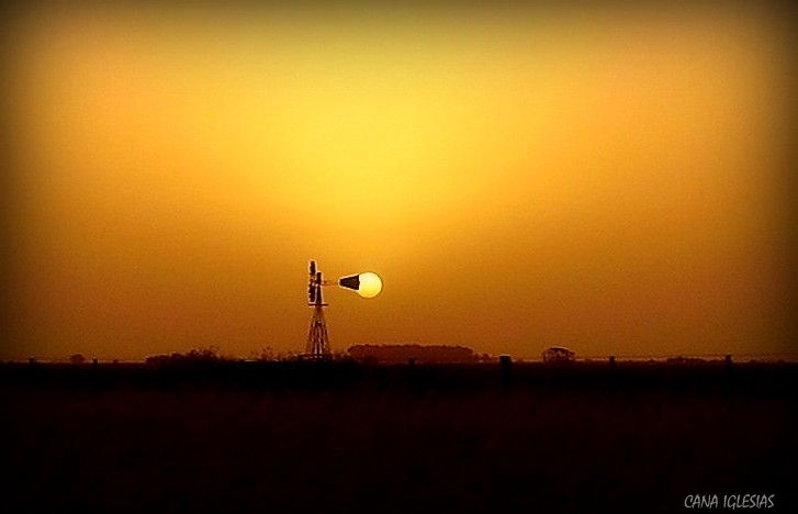 "Atardecer en el campo" de Alejandra Iglesias