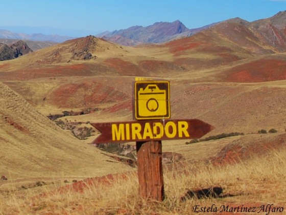 "Mirador" de Maria Estela Martinez Alfaro