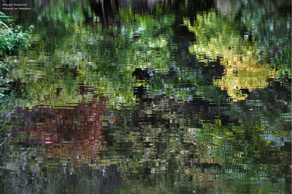 "Reflejos" de Armando Kazimierski