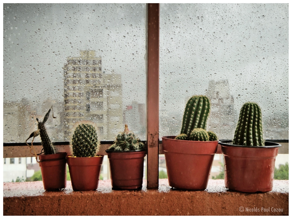 "Postal de tormenta" de Nicolas Paul Cazau