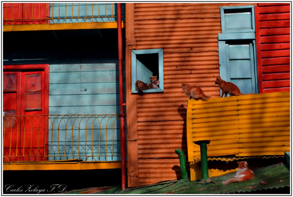 "Postales de La Boca" de Carlos Zelaya