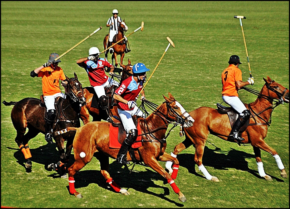 "Tarde de Polo" de Martin Salas Braconi