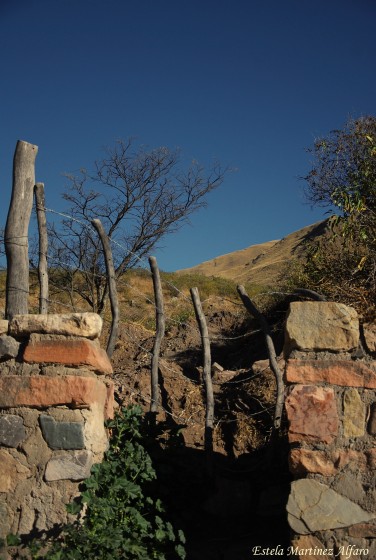 "El campo" de Maria Estela Martinez Alfaro