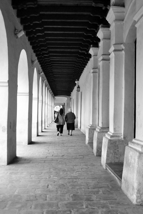 "Caminando" de Beatriz Franchini