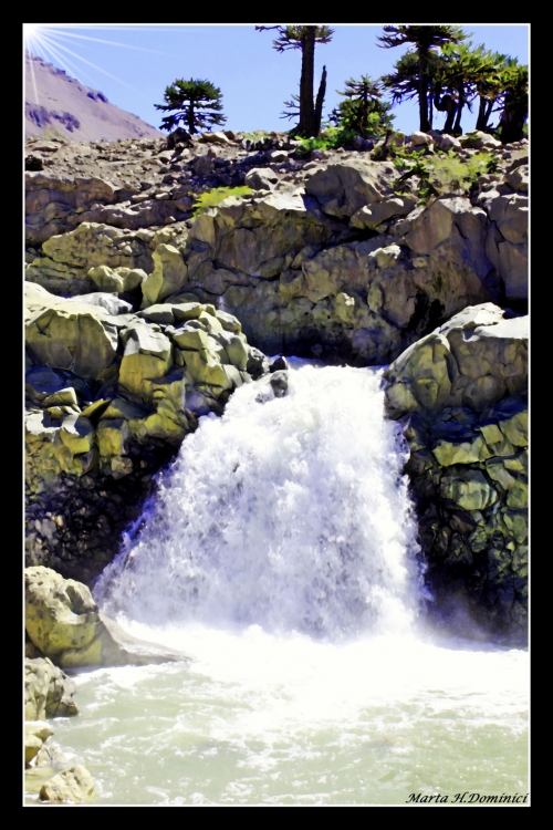 "Cascada del Agrio" de Marta Dominici