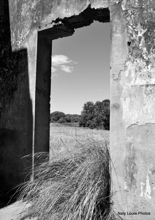 "vieja ventana de suenos" de Natalia Loureiro