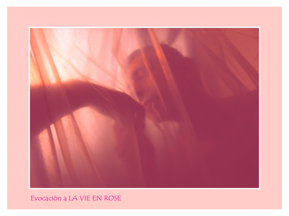 "Evocacin a La Vie en Rose" de Nora Lilian Iturbide ( Noral )