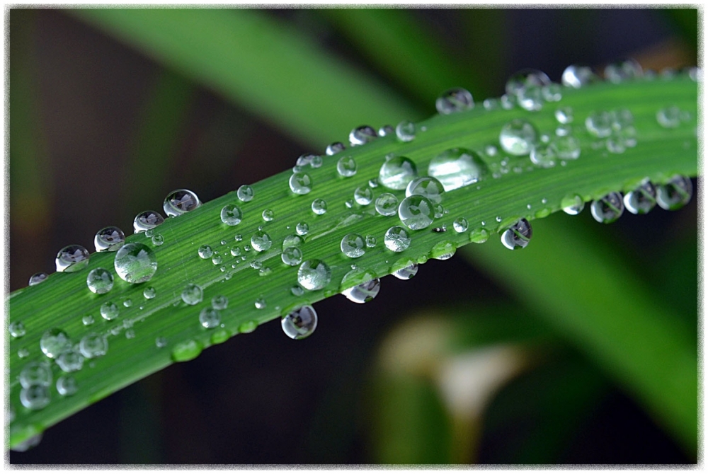 "Sigue lloviendo" de Jos Marcelo Mir