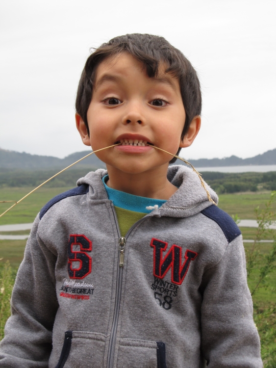 "Sobrino disfutando del Campo" de Ingrid Guzman