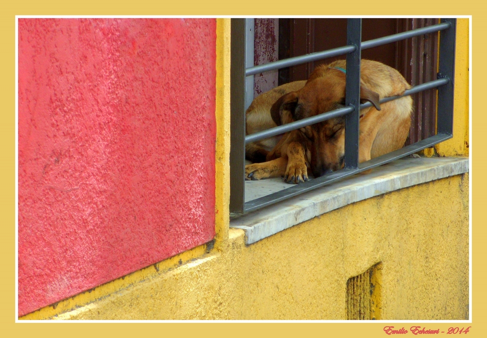 "La siesta" de Emilio Echesuri