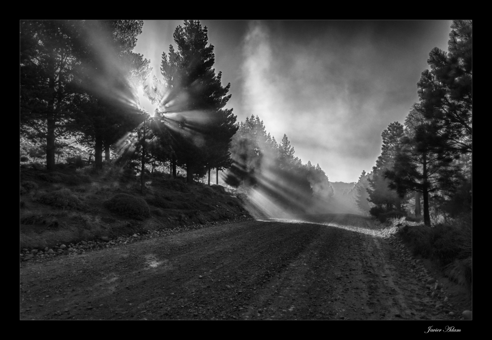 "Una luz en el camino" de Javier Adam