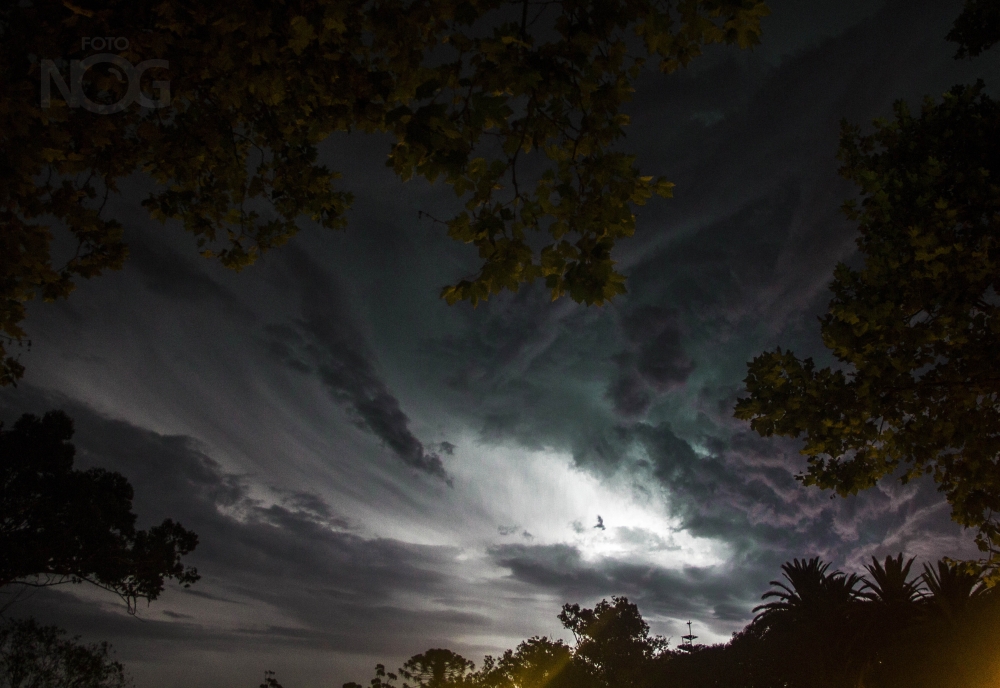 "tormenta" de Nicols Olivera Gonnet