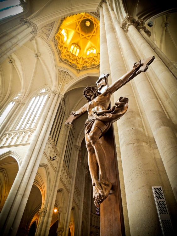 "La catedral de La Plata`" de Ricardo Lagrange