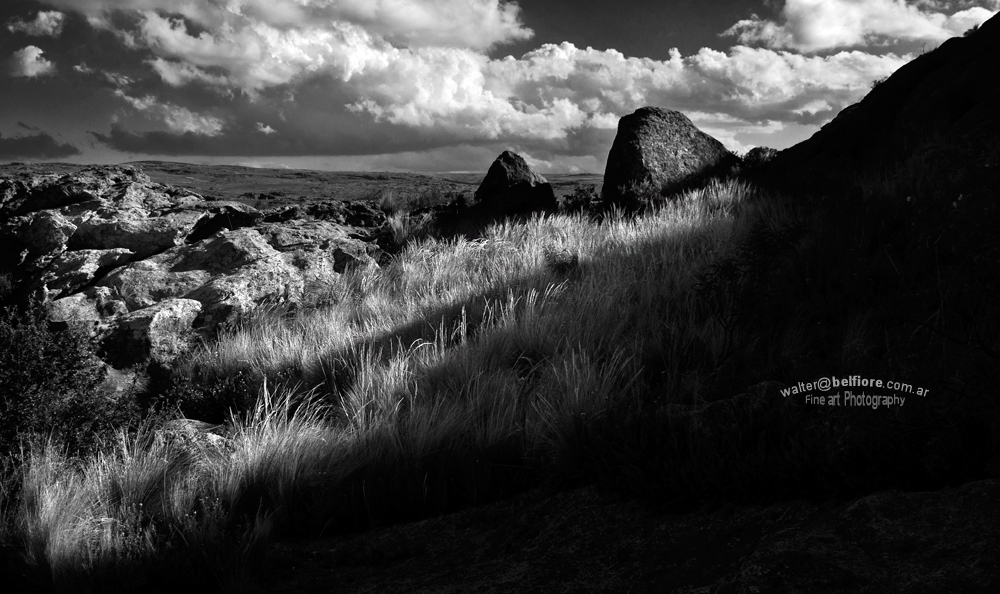 "Homenaje a Ansel Adams" de Walter Belfiore