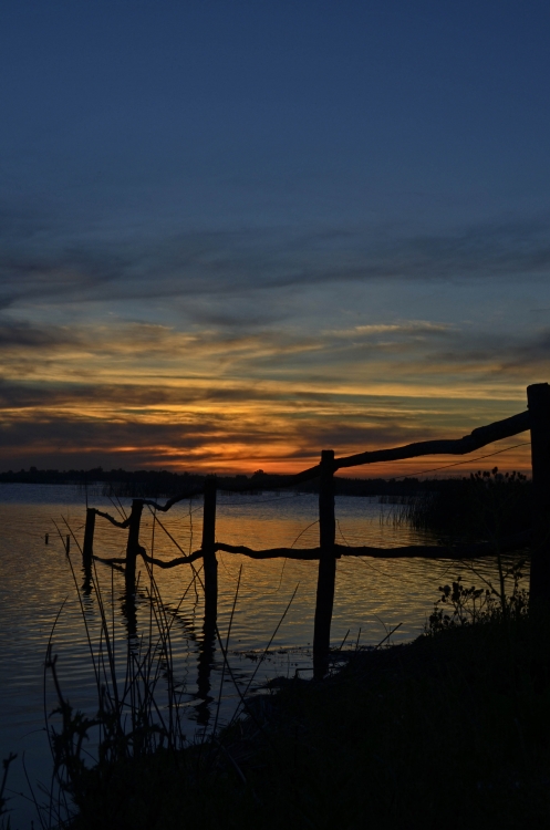 "Atardecer en la laguna 2" de Monica Rollan