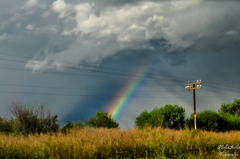 "El hornero y el arco iris" de Stella Avila