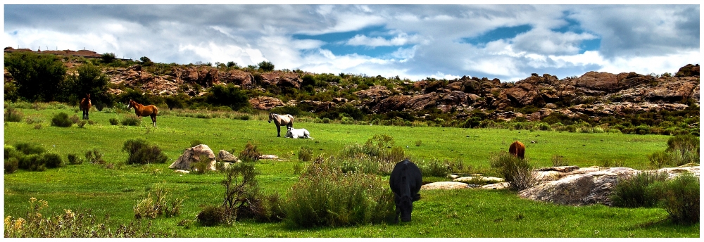 "verde paisaje" de Hilda Adorno