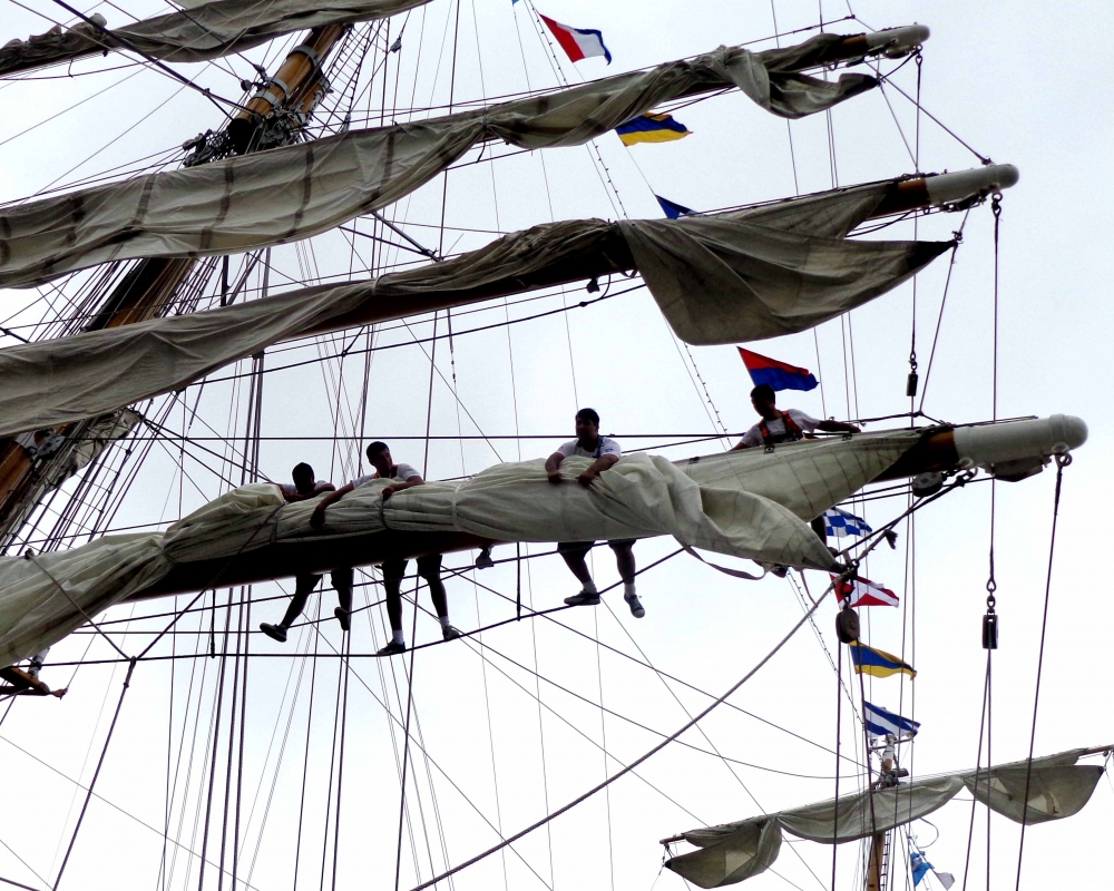 "equilibristas marinos" de Ricardo Picco