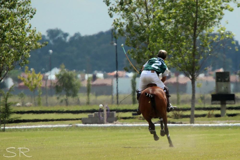 "polo" de Simon Ramirez