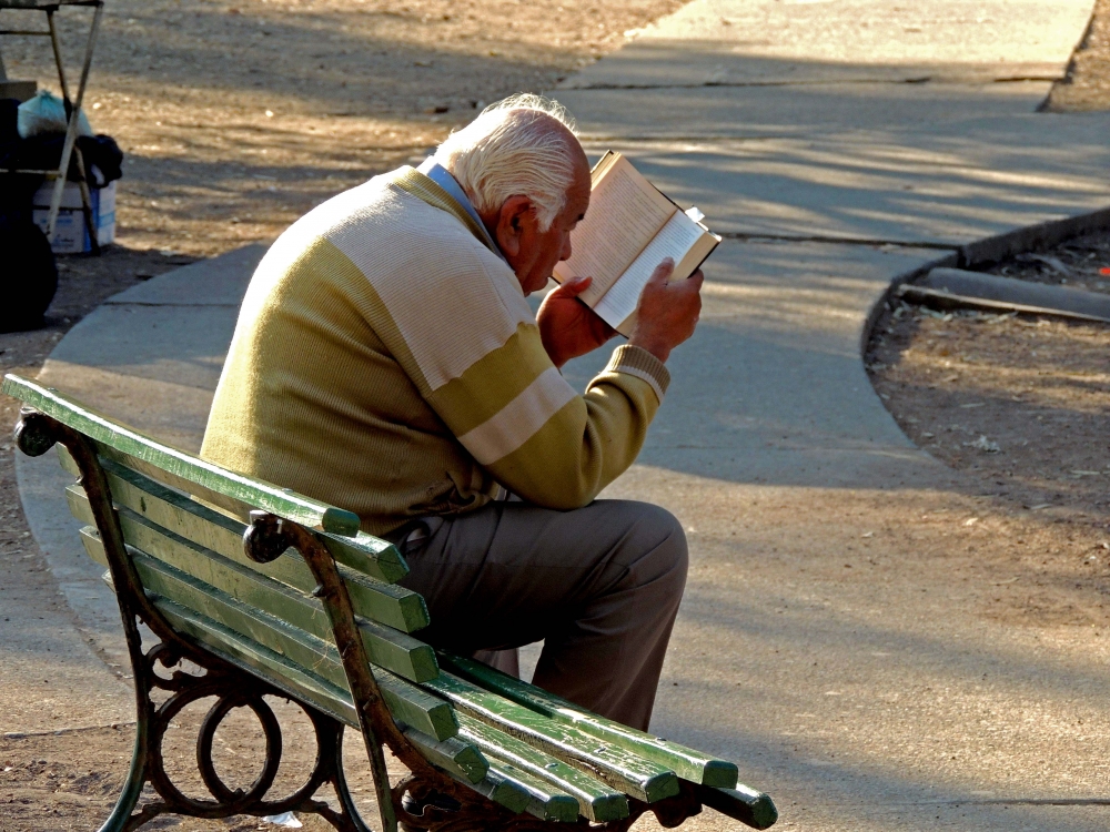 "Tarde de lectura" de Sandra M Garcia