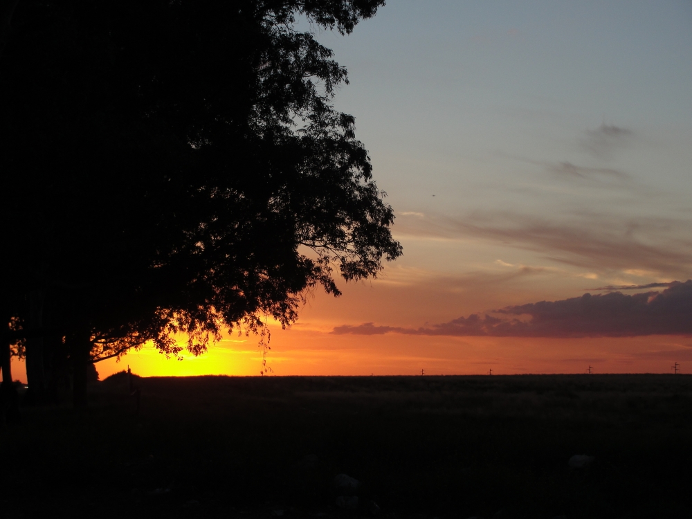 "Atardecer en el campo" de Luciana Mara Piovan