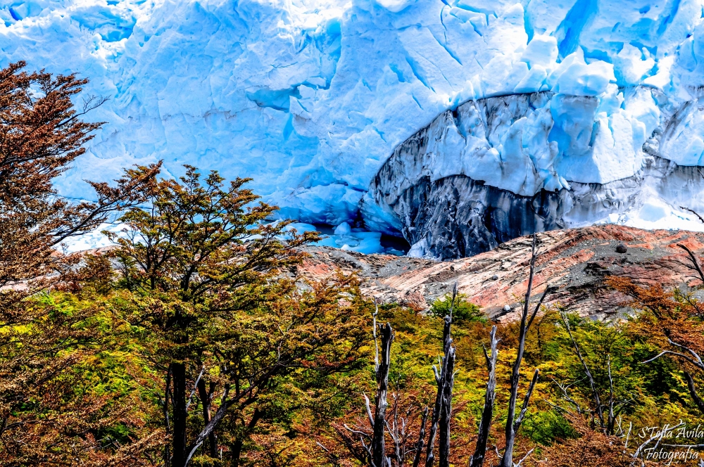 "Colores del sur" de Stella Avila