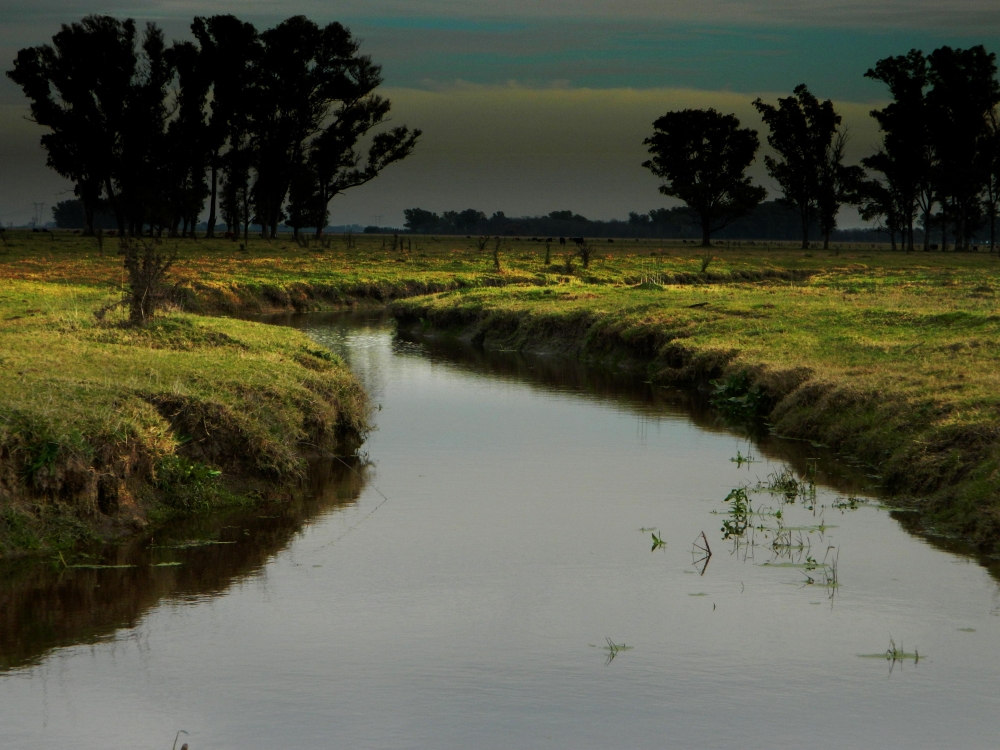 "Rio manso" de Silvana Garat