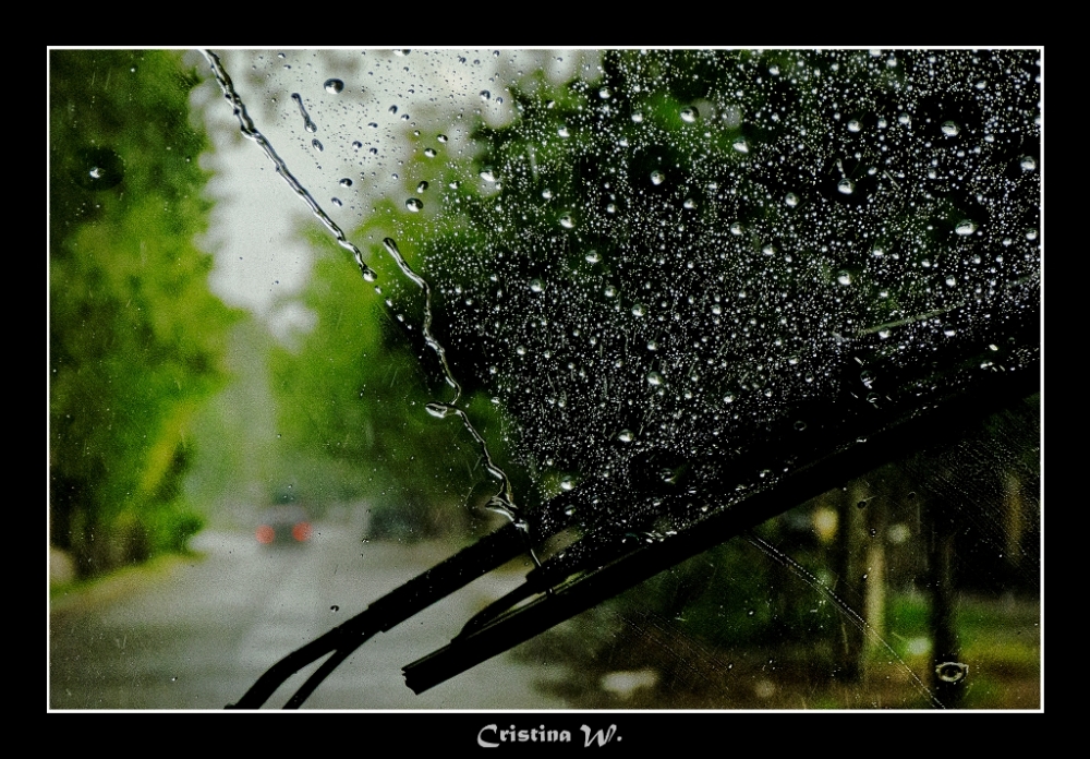 "La lluvia del regreso...." de Cristina Wnetrzak