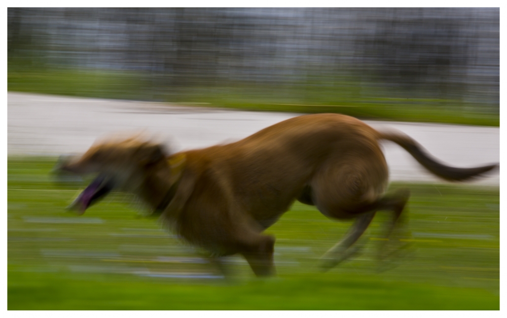 "Runner" de Gustavo Acosta