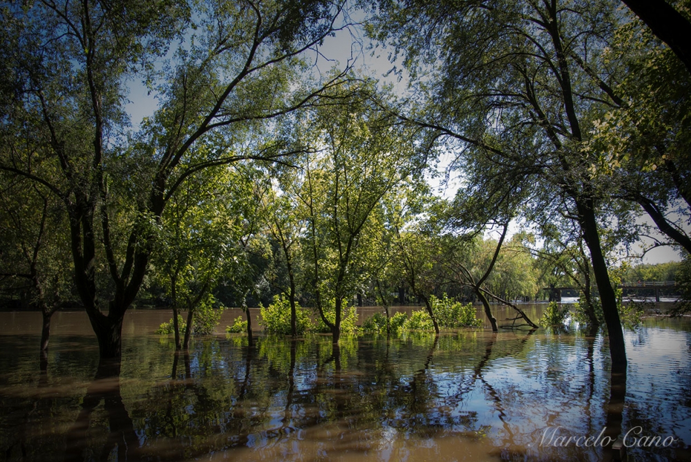 "Crecida del Rio Lujan.." de Marcelo Nestor Cano