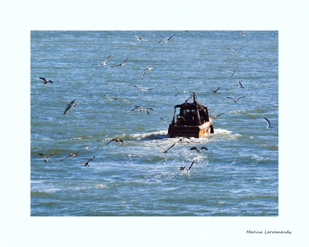 "Siguiendo al pesquero" de Marina Larramendy