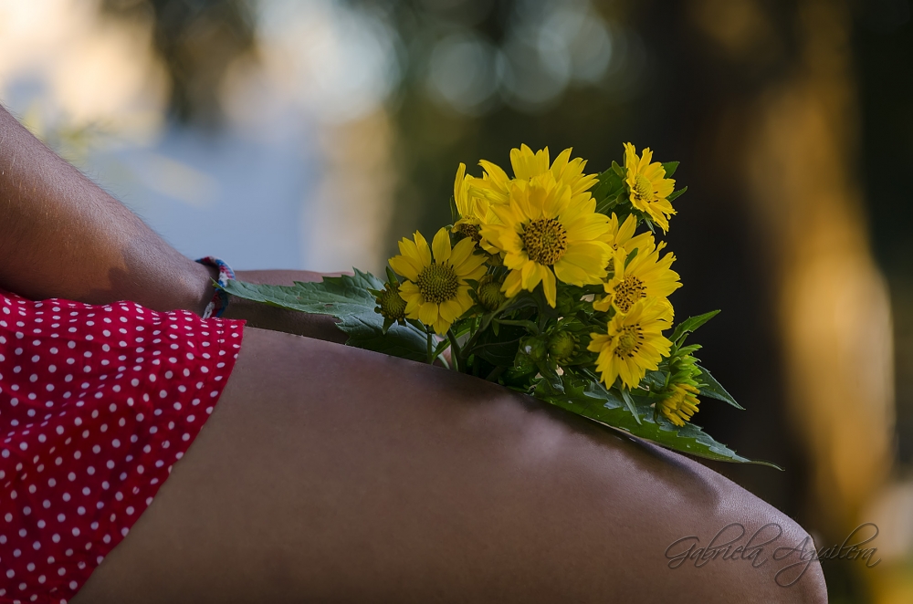 "Flores amarillas" de Gabriela Aguilera