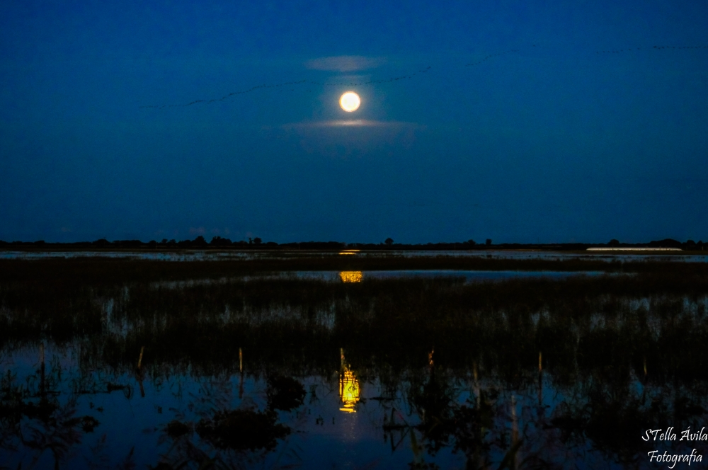 "Luna, lunera..." de Stella Avila