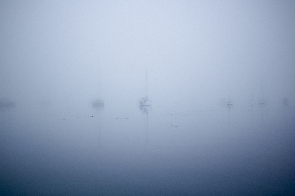 "Niebla" de Federico Tuninetti