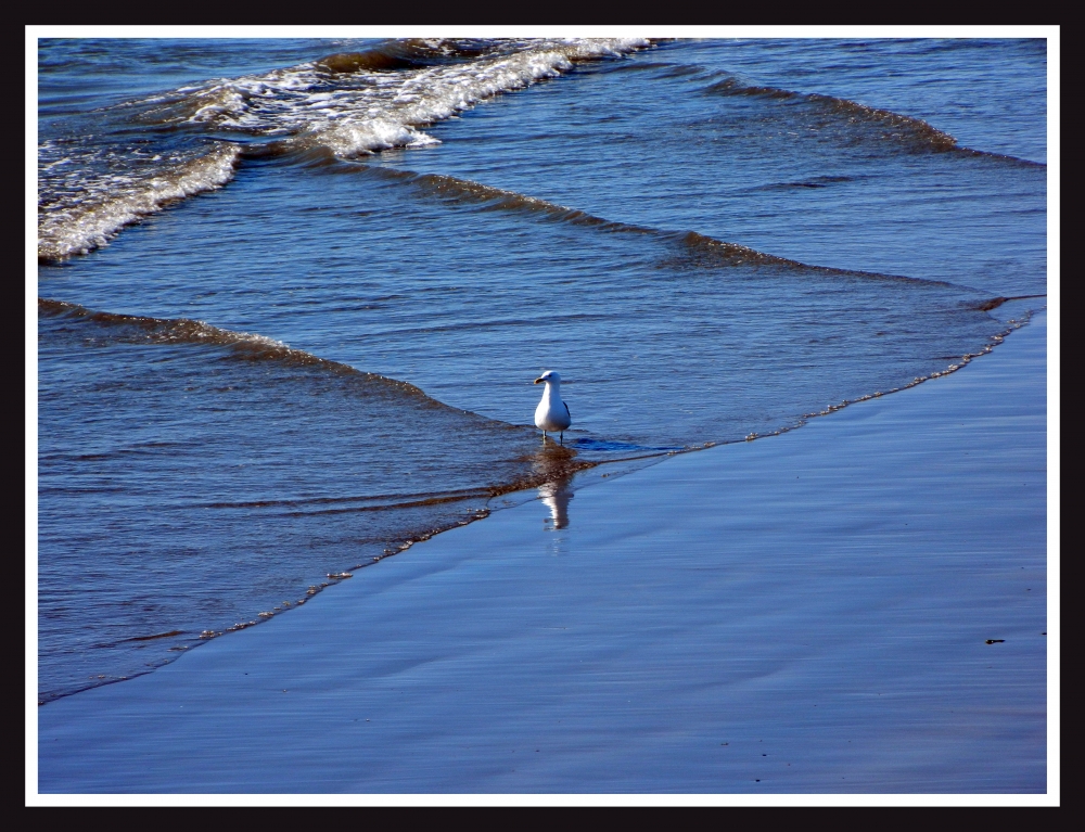 "Refrescndose !" de Miguel Angel Simili