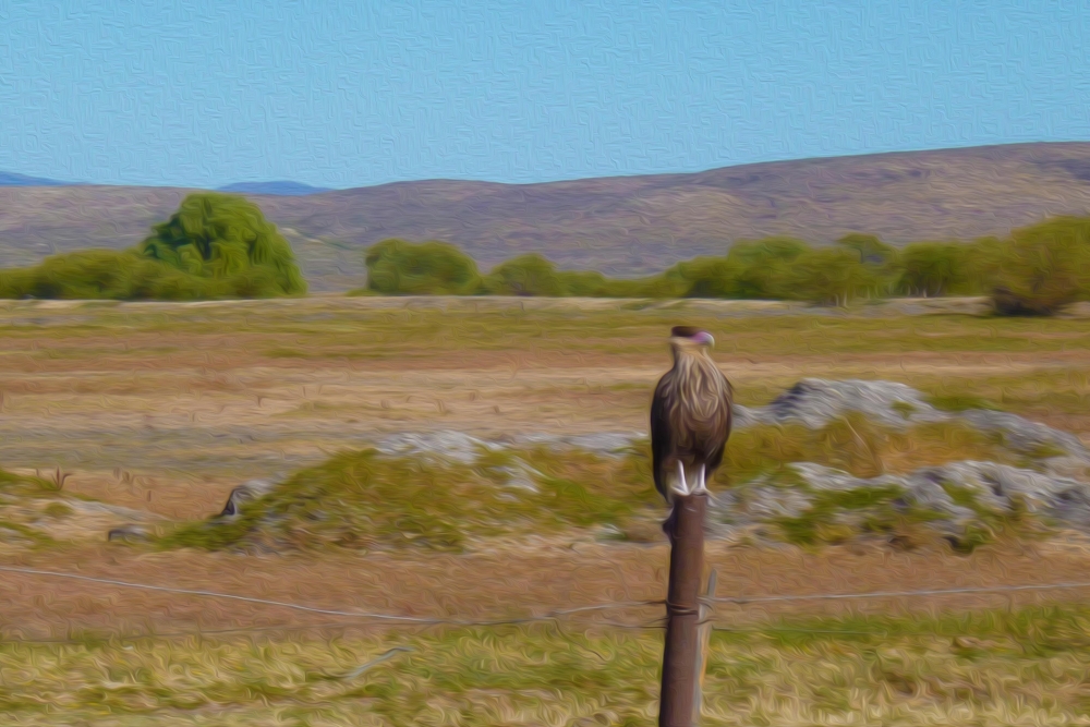 "caminata por Sarmiento(Chubut)" de Vernica Dana